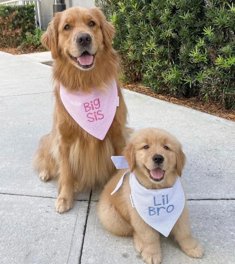 Big Sister Dog Bandanas Custom Embroidered