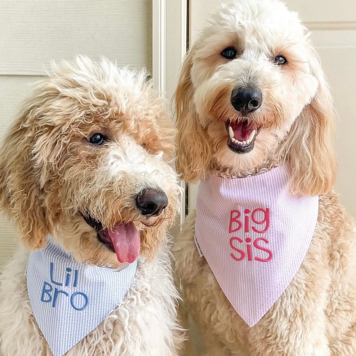 Big Sister Dog Bandanas Custom Embroidered