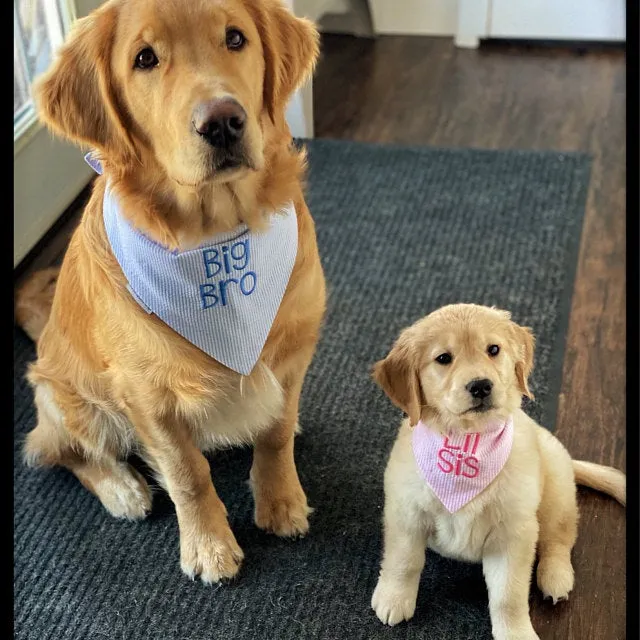 Big Sister Dog Bandanas Custom Embroidered