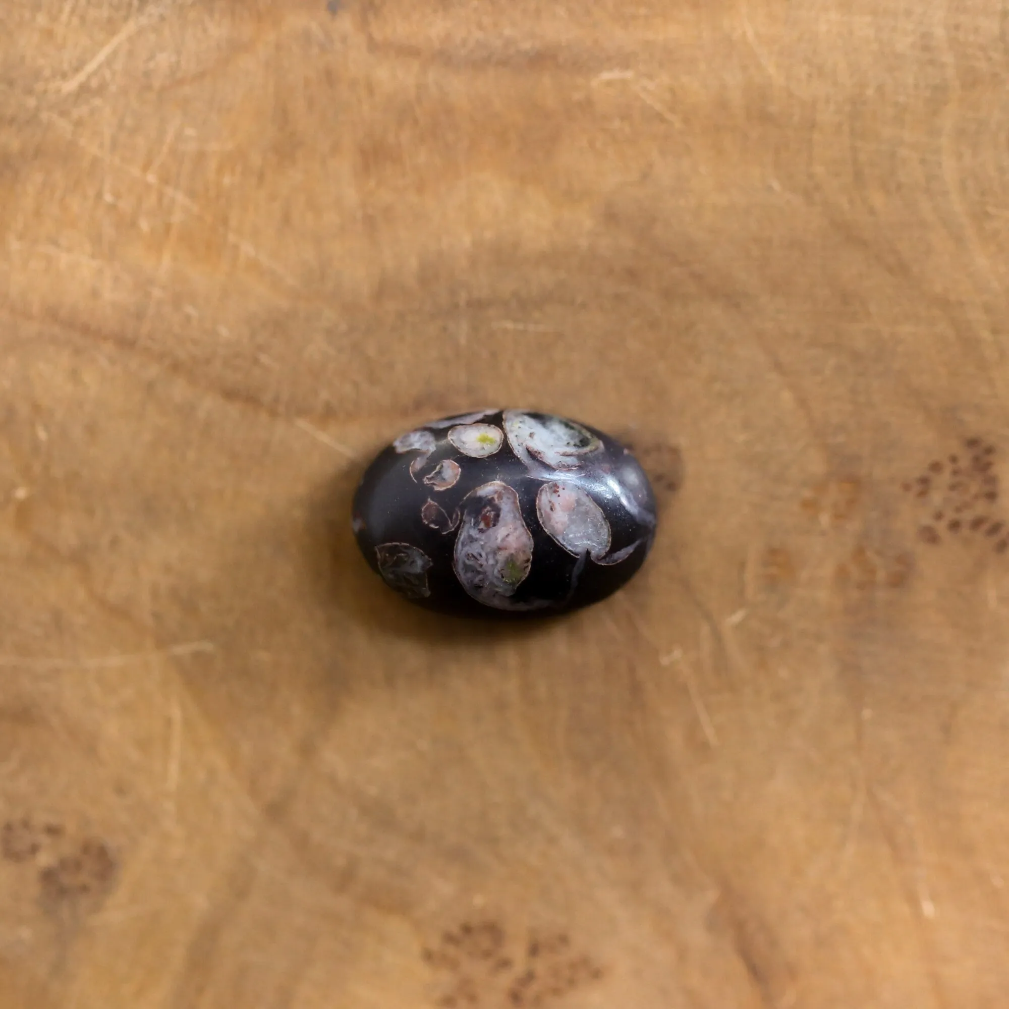 Black Fossil Ring - East West Fossil Ring -  Silversmith Ring - Boho Ring - Natural Fossil