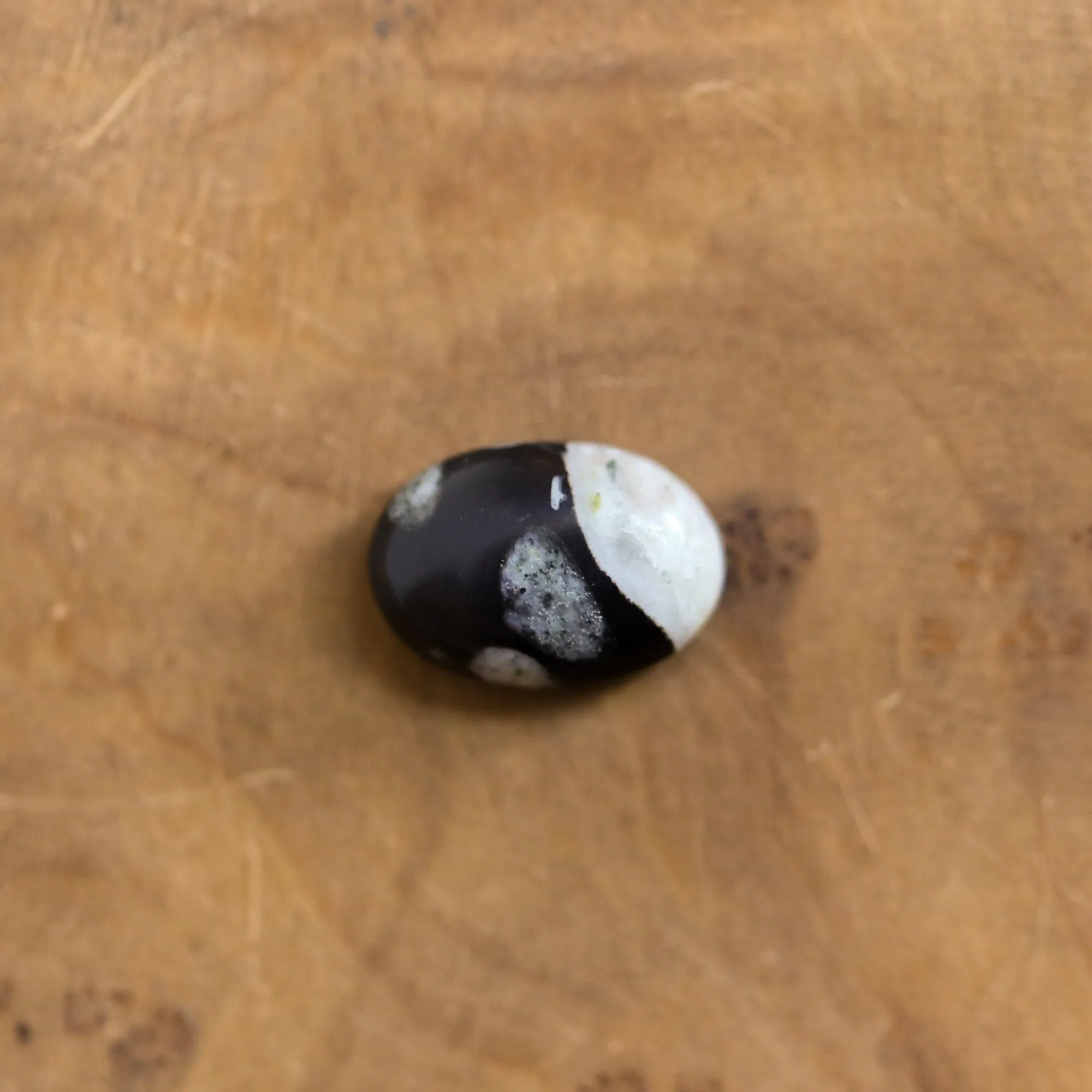 Black Fossil Ring - East West Fossil Ring -  Silversmith Ring - Boho Ring - Natural Fossil