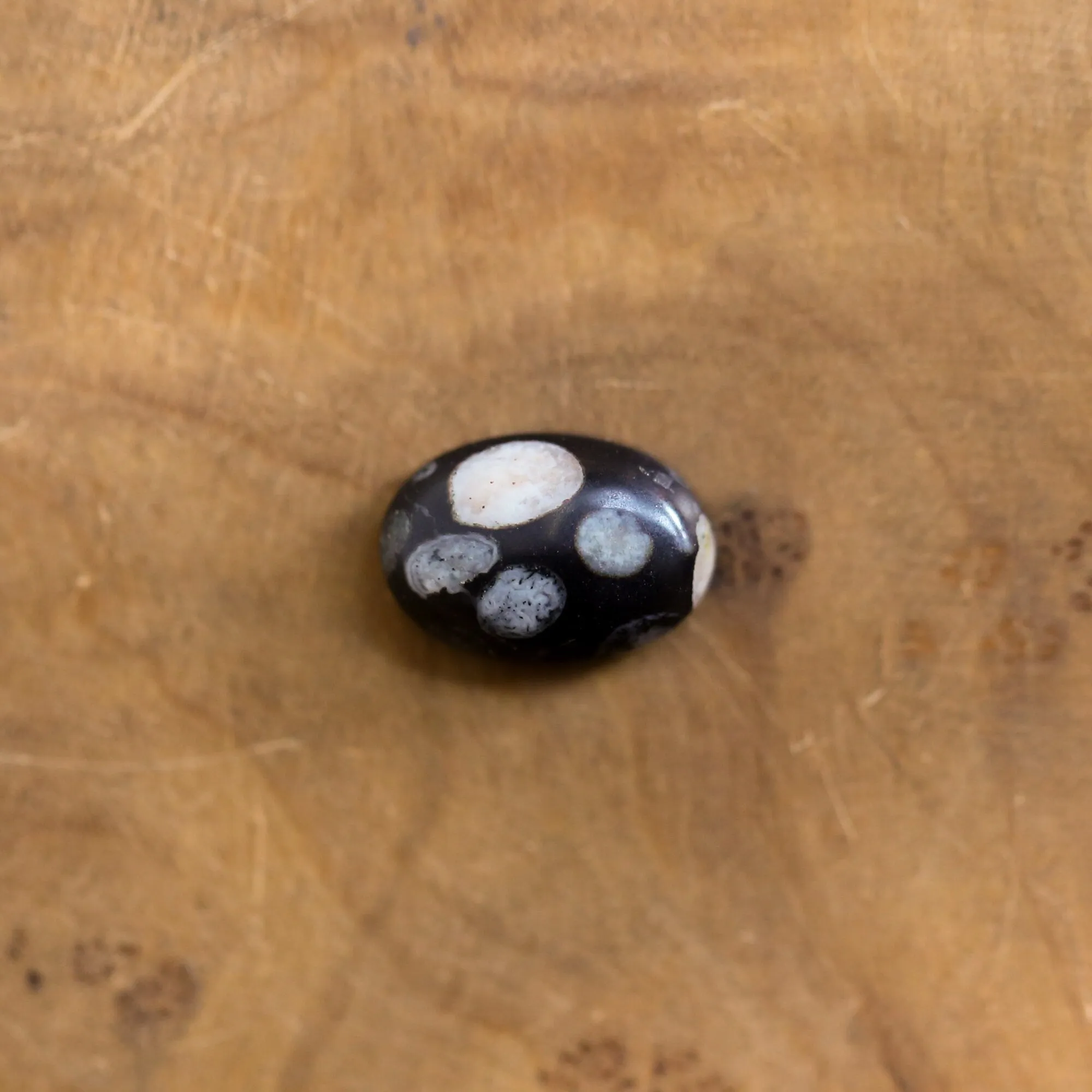 Black Fossil Ring - East West Fossil Ring -  Silversmith Ring - Boho Ring - Natural Fossil