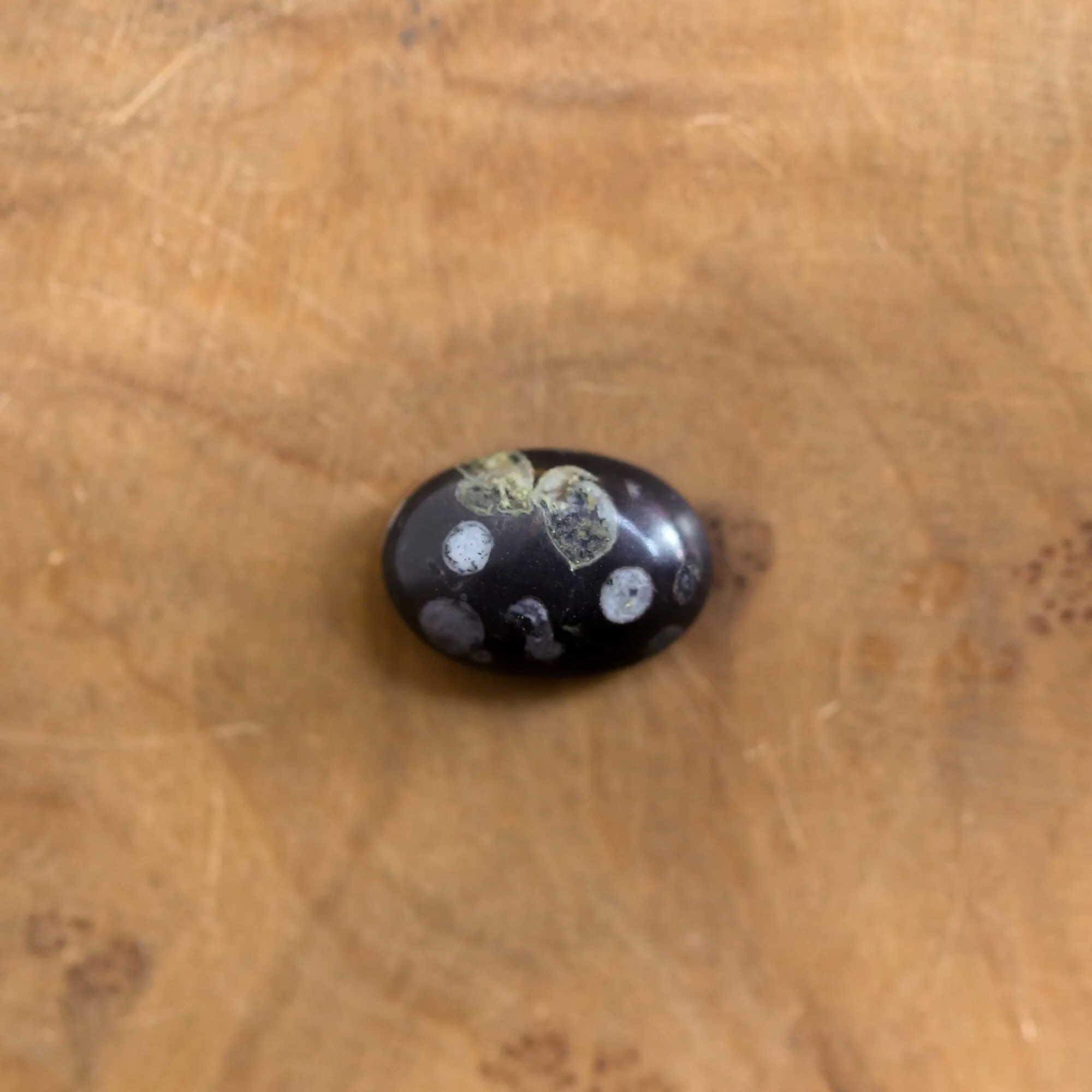 Black Fossil Ring - East West Fossil Ring -  Silversmith Ring - Boho Ring - Natural Fossil