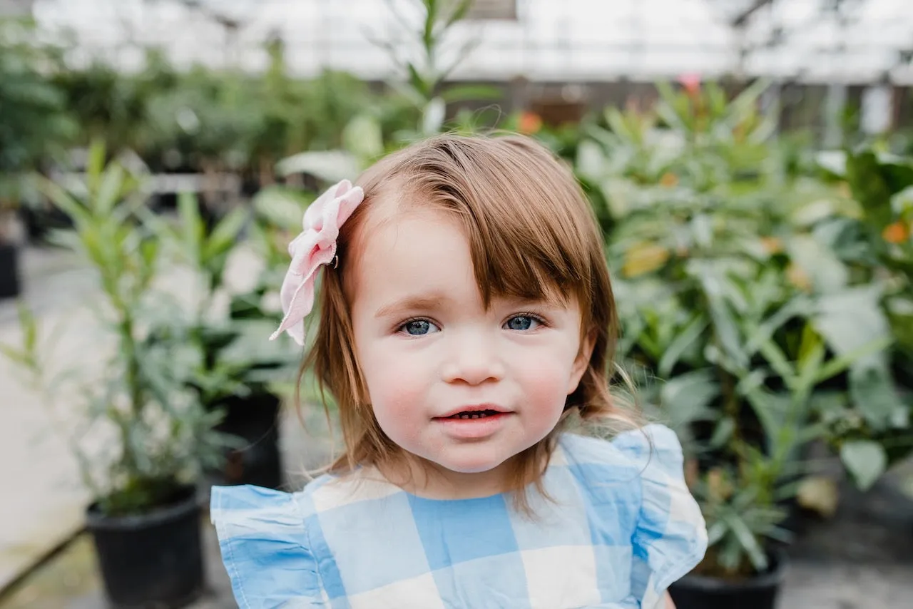 Cherry Blossom | Petite Party Bow