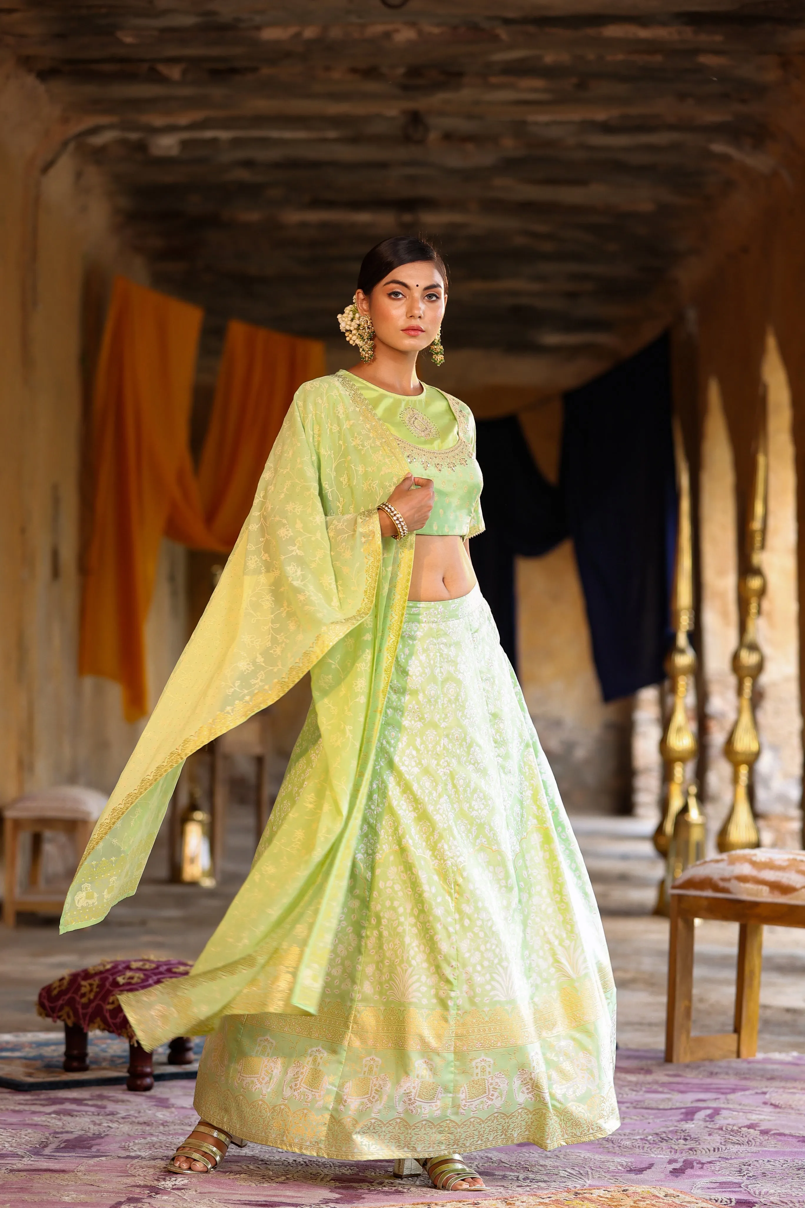 Juniper Mint Shantoon Embroidered Lehenga Choli Dupatta Set