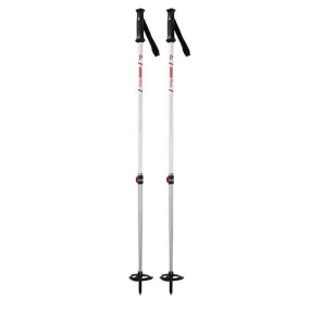 MSR DynaLock Trail Poles