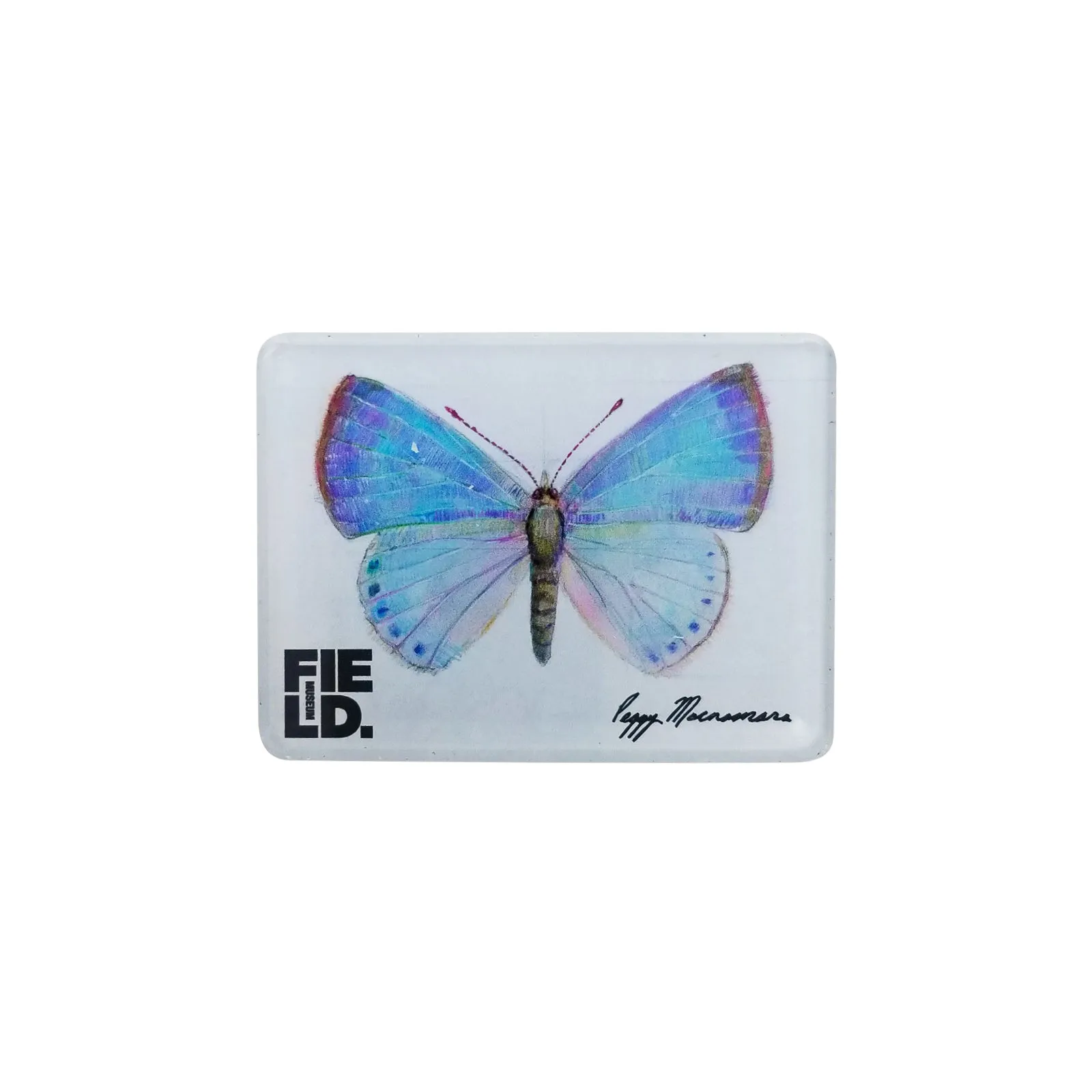 Peggy Macnamara Blue Moth Magnet