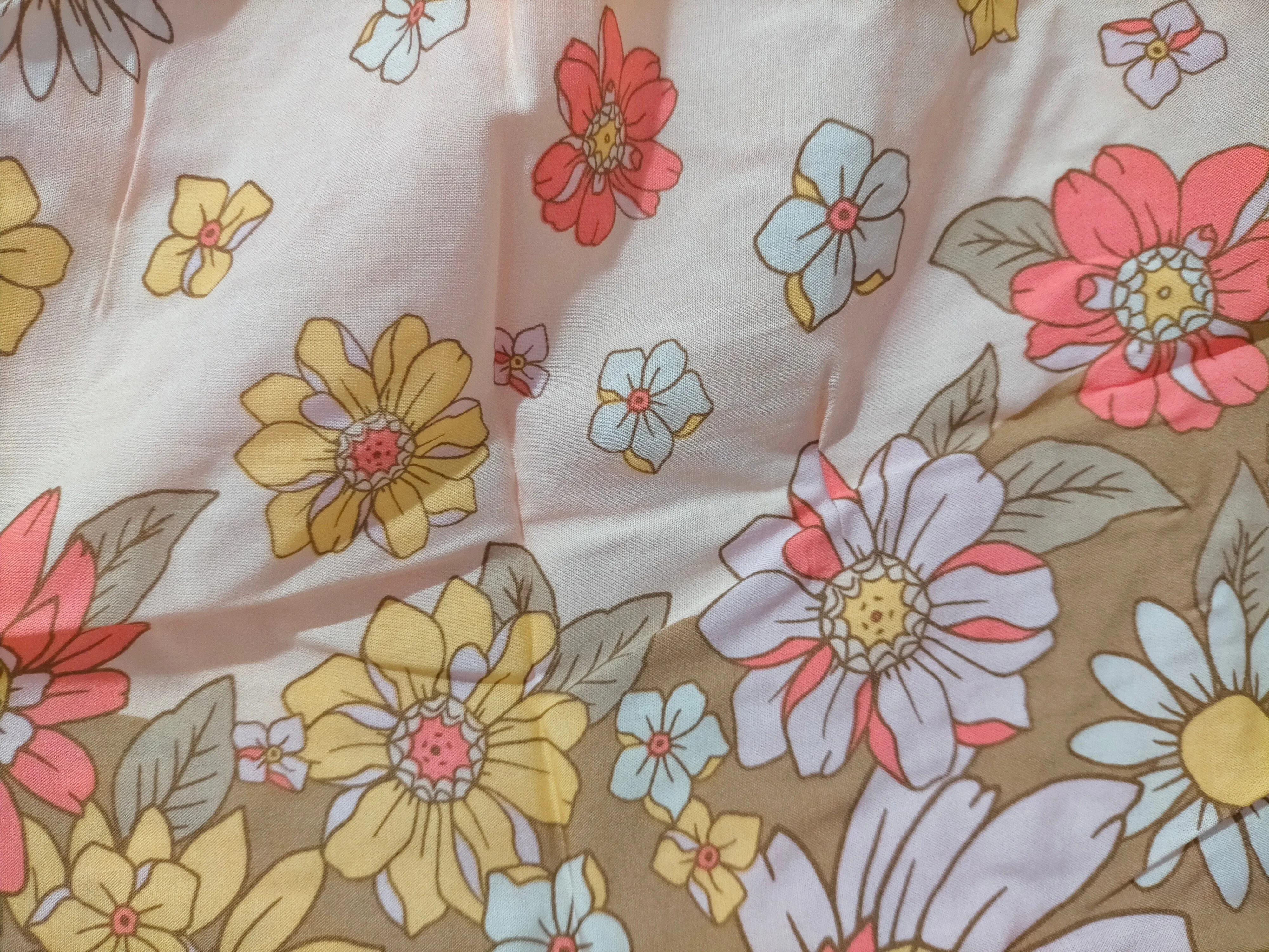 Sierra Top Daisies Print